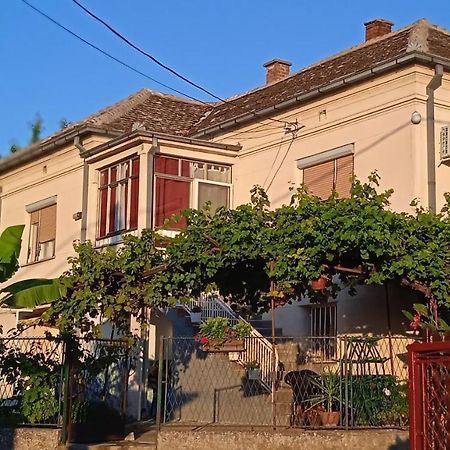 Ferienwohnung Apartman Stojanovic Paraćin Exterior foto