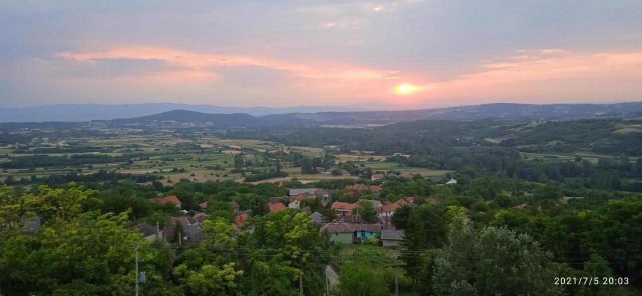 Ferienwohnung Apartman Stojanovic Paraćin Exterior foto