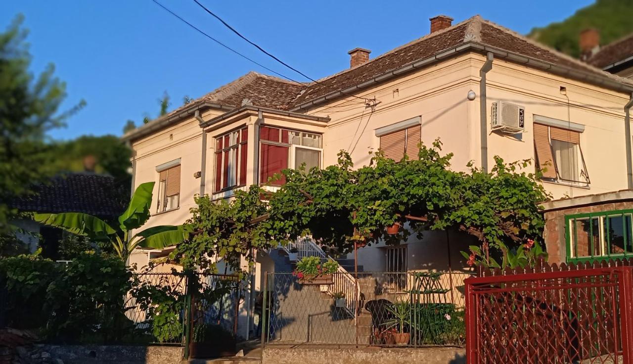 Ferienwohnung Apartman Stojanovic Paraćin Exterior foto